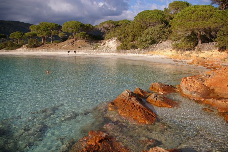 Le paradis bel et unique de la plage de Tamarone en Corse